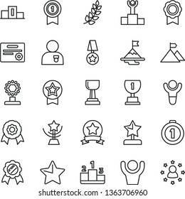 thin line vector icon set - star vector, pedestal, medal, winner, laurel branch, podium, award, cup, gold, reward, man with, motivation, mountain flag, first place, pennant, ribbon, certificate