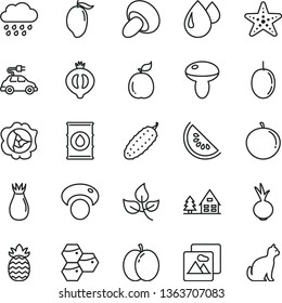 thin line vector icon set - rainy cloud vector, picture, mushroom, porcini, cucumber, beet, honeycombs, apple, squash, rose hip, half of medlar, slice water melon, mango, tangerine, passion fruit