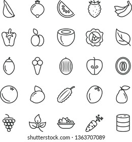 thin line vector icon set - a plate of fruit vector, peper, garlic, cone, apple, orange, large grape, squash, pear, tasty, medlar, raspberry, melon, slice water, half, yellow lemon, bananas, coconut