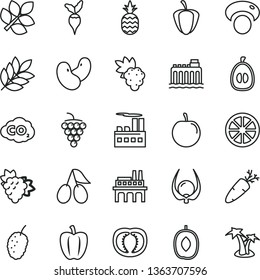 thin line vector icon set - carrot vector, a pineapple, grape, branch of, large, cornels, tasty mulberry, delicious plum, half loquat, juicy lemon, physalis, tomato, Bell pepper, ripe, beans, radish