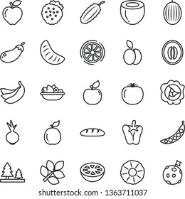 thin line vector icon set - loaf vector, a plate of fruit, peper, beet, strawberries, apple, squash, apricot, red, melon, half, slice tangerine, bananas, lemon, guava, coconut, pineapple, grapefruit