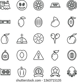 thin line vector icon set - warning vector, children's train, colored air balloons, building level, ripe peach, quince, melon, half of mango, loquat, lemon, yellow, juicy, slice, pineapple, gpu card