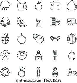 thin line vector icon set - rainy cloud vector, children's sand set, suitcase, a glass of soda, bottle, popsicle, blueberries, strawberries, pineapple, mint, fig, blueberry, water melon, slice, kiwi