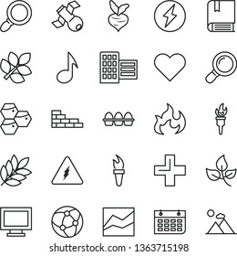 thin line vector icon set - monitor window vector, plus, line chart, e, brick wall, city block, heart, bundle of eggs, honeycombs, beet, leaves, calendar, network, magnifier, note, electricity