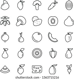 thin line vector icon set - piece of cheese vector, porcini, carrot, pear, orange, half apricot, quince, fig, medlar, melon, slice, mango, loquat, goji berry, ripe plum, yellow lemon, kiwi, guava