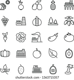 thin line vector icon set - tomato vector, beet, a pineapple, large grape, squash, mulberry, tasty cornels, goji berry, delicious plum, half loquat, garlic, eggplant, radish, pumpkin, leaves, leaf