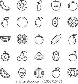 thin line vector icon set - cucumber vector, strawberry, cherry, quince, apricot, red apple, tasty, water melon, slice of, half mango, loquat, plum, lemon, juicy, passion fruit, ripe pineapple, stub