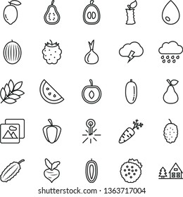 thin line vector icon set - rainy cloud vector, picture, drop, storm, strawberries, pear, orange slice, blackberry, mulberry, melon, date fruit, half loquat, cherry, sweet, lemon, part of guava