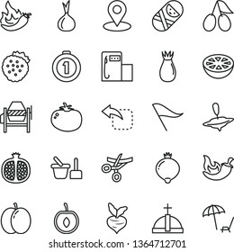 thin line vector icon set - wind direction indicator vector, tumbler, toy sand set, small yule, concrete mixer, move left, tomato, chili, strawberries, apple, half pomegranate, rose hip, cornels