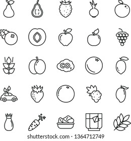 thin line vector icon set - lettuce in a plate vector, beet, glass of tea, blueberries, pear, orange, mint, apple, grape, large, apricot, red, plum, strawberry, rose hip, tasty raspberry, mango