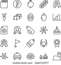 thin line vector icon set - add label vector, pennant, negative histogram, question, toys over the cot, car, Hot Dog, birthday cake, medlar, melon, tamarillo, physalis, radish, sale, sd card, medal