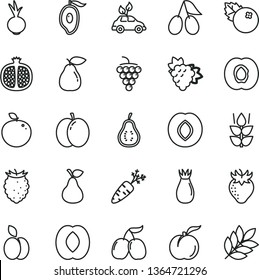 thin line vector icon set - beet vector, blueberries, apple, pear, mint, ripe peach, half apricot, pomegranate, branch of grape, large, plum, strawberry, rose hip, cornels, tasty raspberry, mango