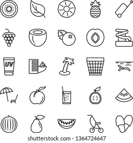 thin line vector icon set - wicker pot vector, summer stroller, a glass of soda, blueberries, ripe peach, large grape, pear, plum, water melon, slice, half kiwi, guawa, coconut, pineapple, leaf