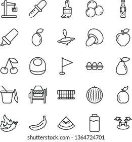 thin line vector icon set - pennant vector, baby bib, children's sand set, small yule, concrete mixer, wooden paint brush, bundle of eggs, porcini, bottle soda, cherry, pear, red apple, blueberries
