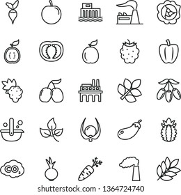 thin line vector icon set - beet vector, grape, squash, blackberry, tasty cornels, goji berry, plum, guava, half of guawa, ripe pineapple, physalis, tomato, Bell pepper, carrot, eggplant, radish