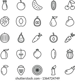 thin line vector icon set - carrot vector, strawberry, strawberries, cherry, tasty apple, rose hip, medlar, water melon, loquat, half peach, date fruit, slice of tangerine, plum, sweet, lemon, guava