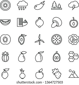 thin line vector icon set - rainy cloud vector, storm, porcini, beet, honeycombs, half apricot, grape, squash, quince, pear, medlar, of mango, loquat, water melon slice, cherry, kiwi, passion fruit
