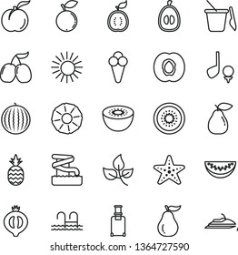 thin line vector icon set - children's sand set vector, cone, a pineapple, ripe peach, half apricot, pear, of medlar, blueberry, tasty cornels, water melon, slice, loquat, kiwi, guawa, guava, leaves