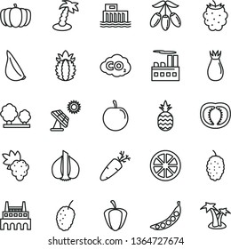 thin line vector icon set - garlic vector, carrot, a pineapple, grape, rose hip, blackberry, mulberry, tasty, goji berry, plum, juicy lemon, ripe, half tomato, pepper, peas, pumpkin, big solar panel