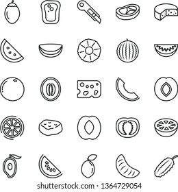thin line vector icon set - stationery knife vector, piece of cheese, bacon, meat, orange slice, sandwich, plum, water melon, half mango, peach, tangerine, tamarillo, sour lime, lemon, coconut