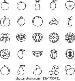 thin line vector icon set - cherry vector, apple, squash, tasty, rose hip, medlar, mango, goji berry, half melon, water slice, tangerine, plum, lemon, yellow, juicy, of passion fruit, ripe pineapple