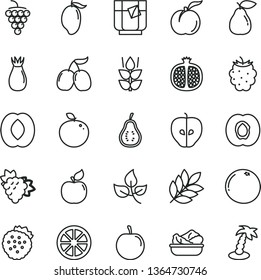 thin line vector icon set - lettuce in a plate vector, glass of tea, strawberries, mint, ripe peach, half apricot, pomegranate, branch grape, large, pear, tasty apple, rose hip, blackberry, cornels