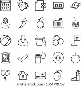 thin line vector icon set - check mark vector, baby bath ball, toy mobile phone, children's sand set, colored air balloons, delete page, move down, branch of grape, plum, blueberry, blueberries, gpu