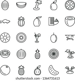 thin line vector icon set - small fish vector, a pineapple, orange, melon, water, loquat, slice of tangerine, passion fruit, half kiwi, guava, guawa, piece coconut, ripe, grapefruit, hotel, beach