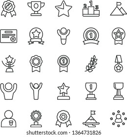 thin line vector icon set - star vector, pedestal, medal, winner, laurel branch, prize, award, cup, gold, reward, man hands up, with, motivation, mountain flag, pennant, ribbon, certificate
