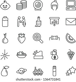 thin line vector icon set - envelope vector, zoom, funny hairdo, winter hat, wooden paint brush, coins, lens, a plate of fruit, large grape, pear, strawberry, slice water melon, onion, charge level