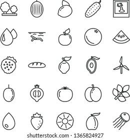 thin line vector icon set - drop vector, loaf, cucumber, strawberries, orange, apple, quince, apricot, raspberry, half of medlar, melon, mango, loquat, passion fruit, yellow lemon, slice pineapple