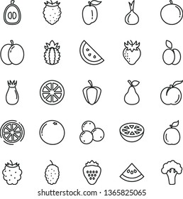 thin line vector icon set - strawberry vector, apple, pear, orange slice, ripe peach, rose hip, blackberry, tasty raspberry, blueberries, mulberry, tangerine, half loquat, plum, juicy lemon, of