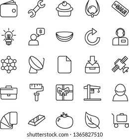 thin line vector icon set - paint roller vector, briefcase, clockwise, crane, sample of colour, put in a box, operator, muffin, tomato, piece coconut, physalis, leaf, racer, satellite dish, wallet