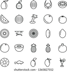 thin line vector icon set - small fish vector, a pineapple, orange slice, pomegranate, melon, water, mango, loquat, date fruit, lime, kiwi, half of, sour, guawa, grapefruit, physalis, persimmon