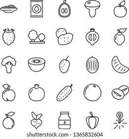 thin line vector icon set - slices of onion vector, mushroom, cucumber, coffee beans, jar jam, peach, pomegranate, quince, apricot, half medlar, tasty raspberry, blueberry, mulberry, melon, loquat