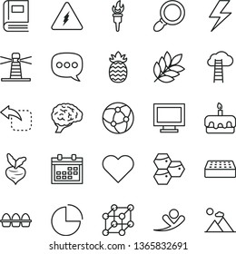 thin line vector icon set - lightning vector, monitor window, calendar, pie chart, brick, heart, move left, bundle of eggs, torte, honeycombs, pineapple, beet, lighthouse, speech, network, magnifier