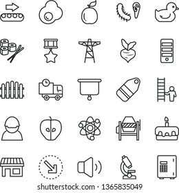 thin line vector icon set - baby duckling vector, concrete mixer, hedge, volume, delivery, label, right bottom arrow, torte, sushi set, fried egg, tasty apple, guava, beet, power pole, racer, stall