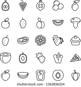 thin line vector icon set - piece of pizza vector, mushroom, muffin, bacon, peper, apple, sandwich, grape, branch, large, quince, apricot, red, plum, half medlar, blueberries, mulberry, tasty, lemon