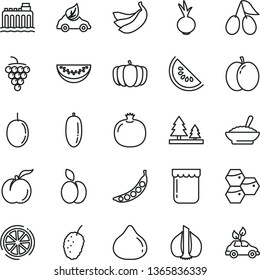 thin line vector icon set - a bowl of buckwheat porridge vector, beet, jam, apple, honeycombs, ripe peach, pomegranate, large grape, cornels, fig, tasty mulberry, slice water melon, date fruit, peas