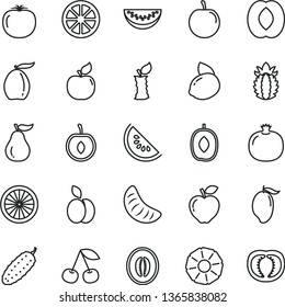 thin line vector icon set - cucumber vector, apple, cherry, pomegranate, apricot, red, slice of water melon, mango, loquat, delicious plum, half peach, tangerine, tasty, yellow lemon, juicy, orange