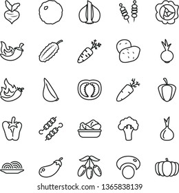 thin line vector icon set - fried vegetables on sticks vector, onion, lettuce in a plate, meat skewers, cabbage, chili, peper, beet, garlic, carrot, squash, goji berry, half tomato, ripe pepper, hot