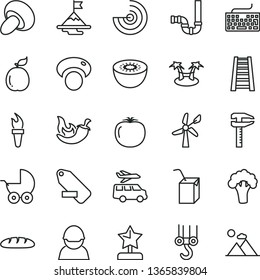 thin line vector icon set - keyboard vector, remove label, baby stroller, packing of juice with a straw, winch hook, stepladder, siphon, loaf, porcini, chili, kiwi, guava, persimmon, mashroom, racer