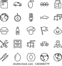 thin line vector icon set - sign of the planet vector, book, toys over cradle, cot, motor vehicle, funny hairdo, small tools, map, flag, nightstand, package, bundle eggs, cake, barbecue, fish, lemon