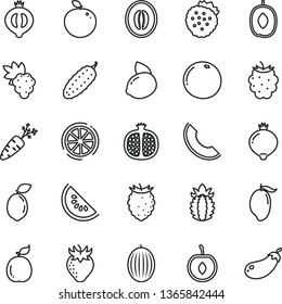 thin line vector icon set - cucumber vector, strawberries, half pomegranate, grape, strawberry, medlar, of, blackberry, tasty raspberry, melon, slice, water, mango, delicious plum, cherry, sour lime