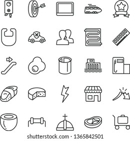 thin line vector icon set - women vector, bib, lightning, heating coil, boiler, cheese, bacon, sushi, fried egg, half of coconut, modern gas station, hydroelectric, autopilot, pipes, kiosk, a crisis