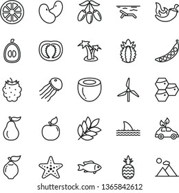 thin line vector icon set - chili vector, fish, a pineapple, honeycombs, quince, apricot, blackberry, goji berry, half loquat, juicy lemon, of coconut, ripe, guava, tomato, peas, beans, windmill