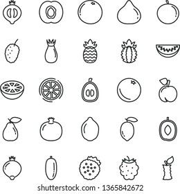 thin line vector icon set - strawberries vector, orange, peach, half apricot, pomegranate, pear, rose hip, fig, medlar, of, blackberry, tasty mulberry, delicious plum, water melon slice, date fruit