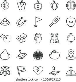 thin line vector icon set - pennant vector, electronic thermometer e, plastic fork spoons, yule, small, broken heart, flag, move left, tomato, peper, popcorn, half pomegranate, tasty apple, fig, of