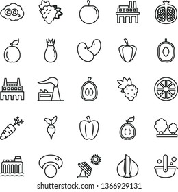 thin line vector icon set - half pomegranate vector, grape, branch of, rose hip, delicious plum, loquat, tasty, juicy lemon, guava, guawa, Bell pepper, ripe, garlic, carrot, beans, mashroom, radish