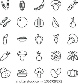 thin line vector icon set - fried vegetables on sticks vector, slices of onion, mushroom, porcini, lettuce in a plate, meat skewers, cabbage, beet, garlic, carrot, squash, goji berry, apple stub